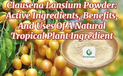 Clausena Lansium на прах: активни съставки, ползи и употреби на естествена съ...