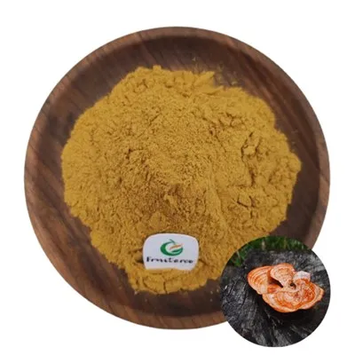 Екстракт на Antrodia Camphorata Powder